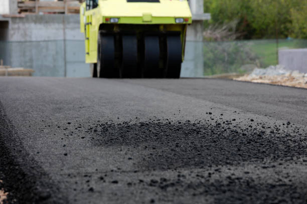 Best Driveway Paver Repair  in Flora, IL